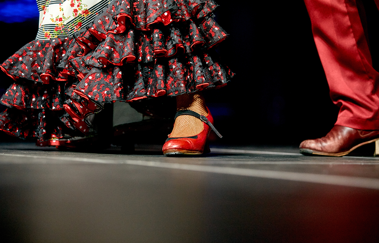 Flamencodansere Foedder