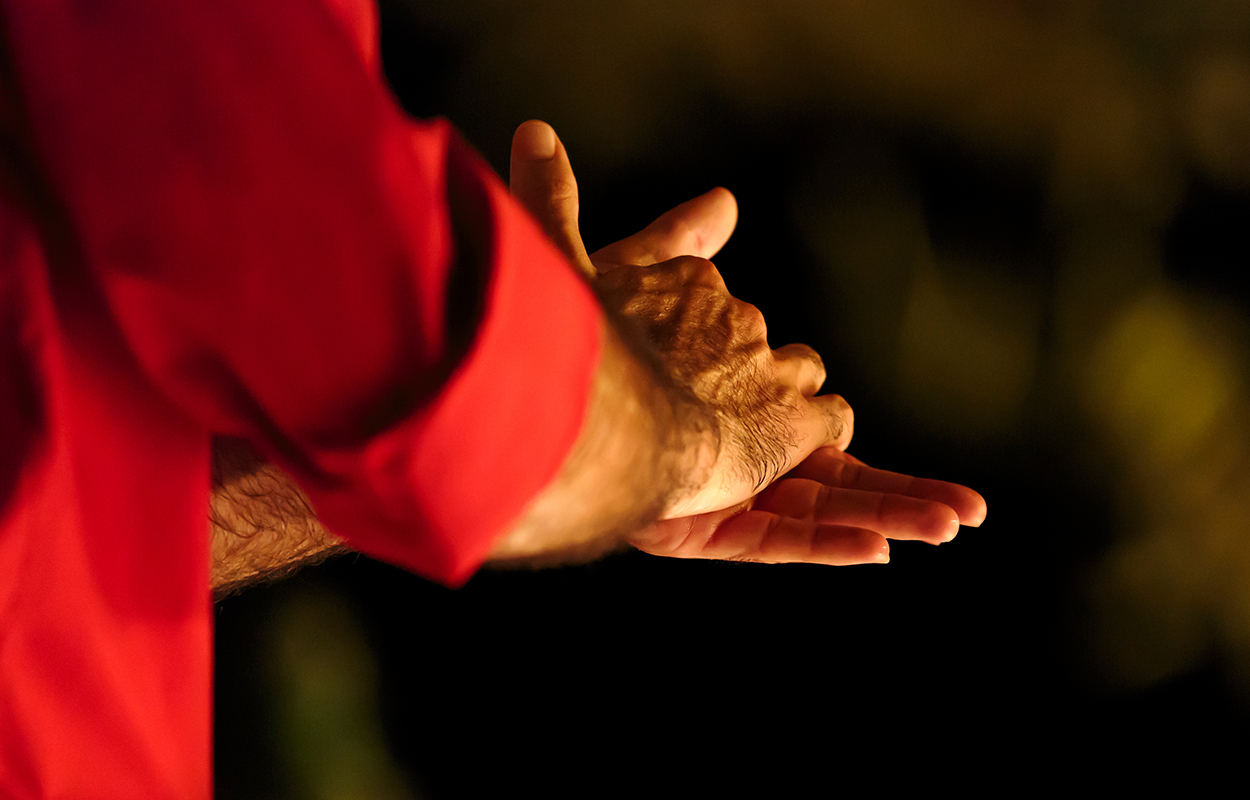 Flamenco Mand Haender